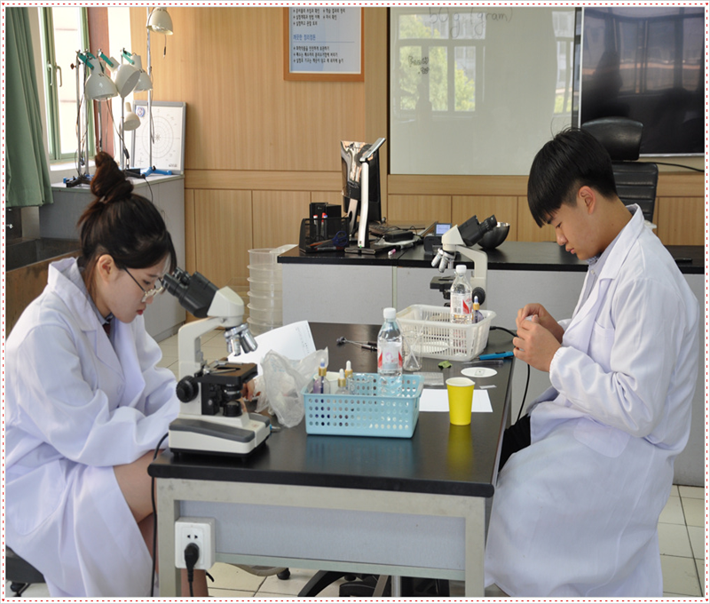 �ߵ� ������ �� ��� 2019.5.22. ÷���̹���